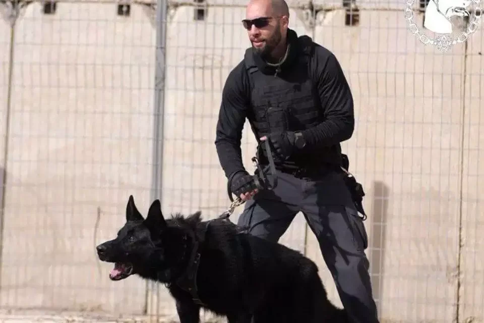 הפרקליטות הצבאית: רצח יוחאי אבני - פיגוע לאומני