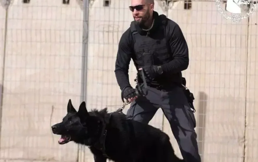 הפרקליטות הצבאית: רצח יוחאי אבני - פיגוע לאומני הפרקליטות הצבאית: רצח יוחאי אבני - פיגוע לאומני