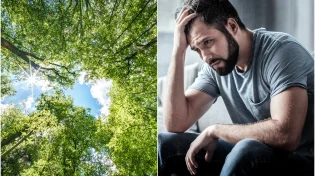 בדיכאון? התרופה הפלאית שנמצאת בעצים 