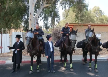 הרב הבכיר בגור מכחיש בתוקף דיווחים על מו"מ לגיוס