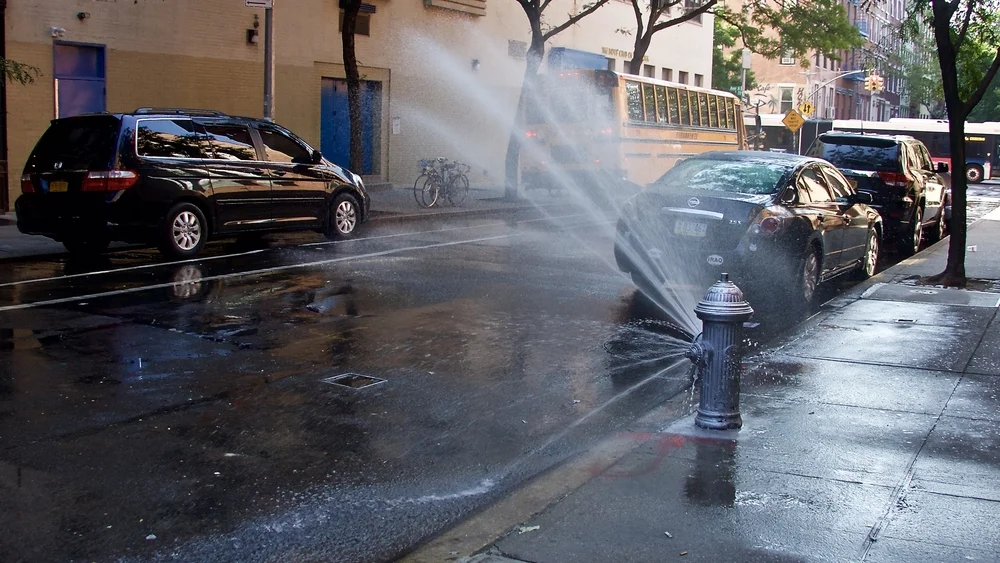 ריסוס בניו יורק בעקבות חשש לנגיף