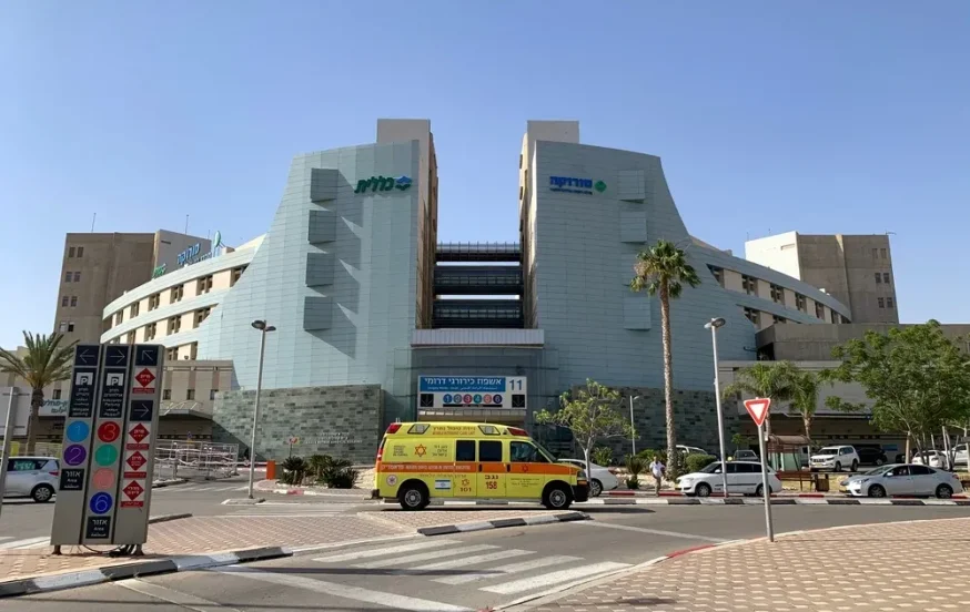 צה"ל צה"ל