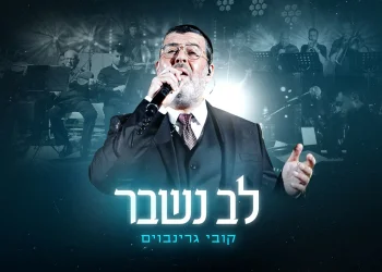 'לב נשבר' – קובי גרינבוים