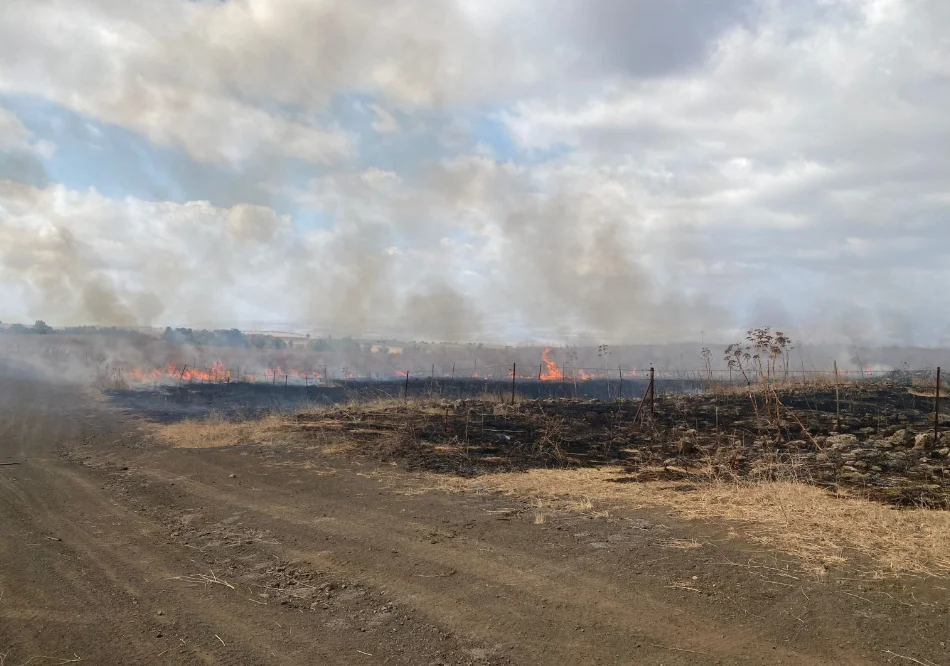 ירי טילים לצפון