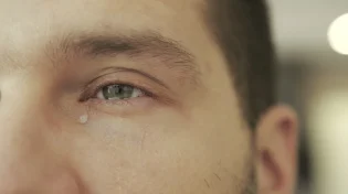 למה צריך לבקש סליחה?