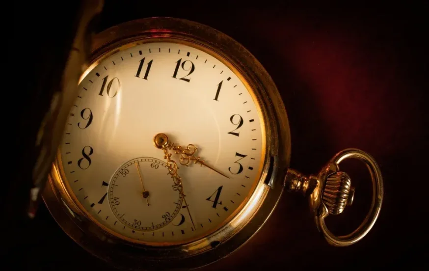 (צילום: Maian Vivier/shutterstock) (צילום: Maian Vivier/shutterstock)