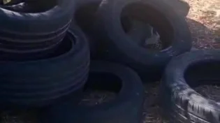 ליל גלנט 2: ההכנות הסודיות של אנשי המחאה