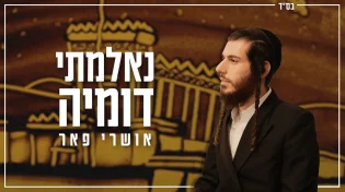 אושרי פאר עם סינגל חדש: "נאלמתי דומיה"