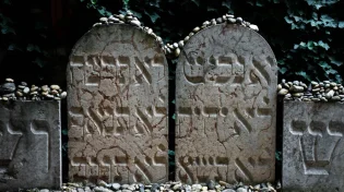 מהם המקורות למצוות כיבוד הורים?