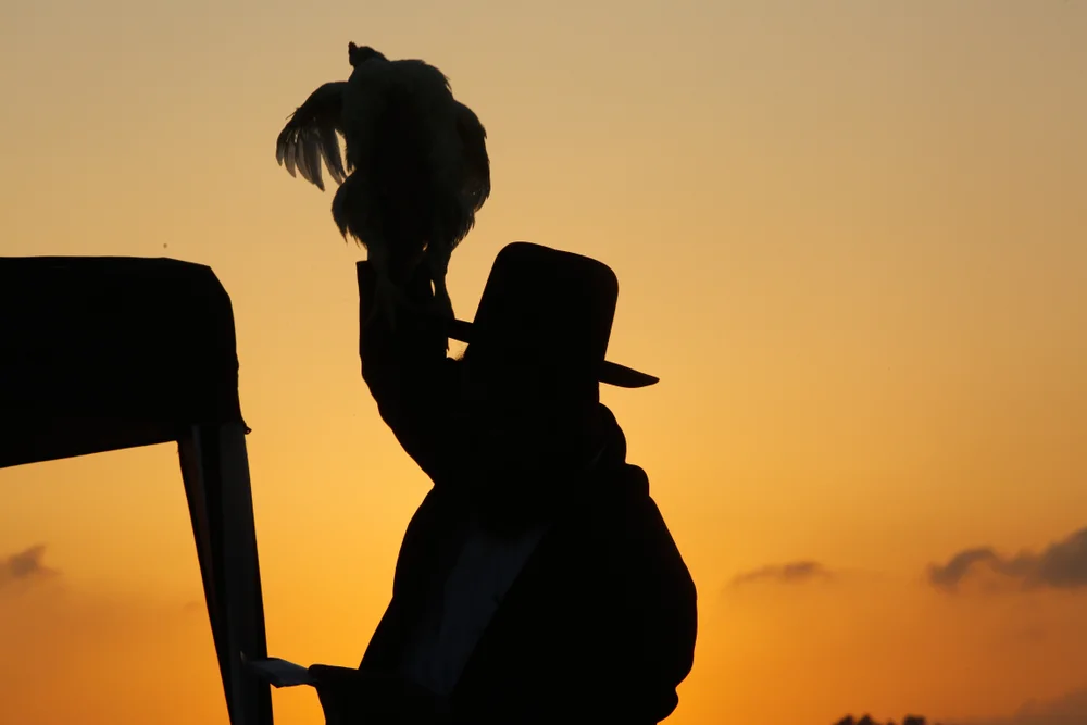 מאיזה גיל צריך לעשות כפרת עוונות? מאיזה גיל צריך לעשות כפרת עוונות?