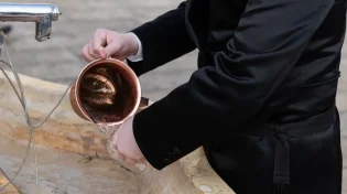 מהו המקור ההלכתי למצוות נטילת ידיים?