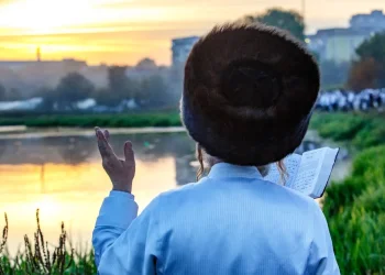 האם יש הבדלים בין התארים רב, רבי ורבנו?