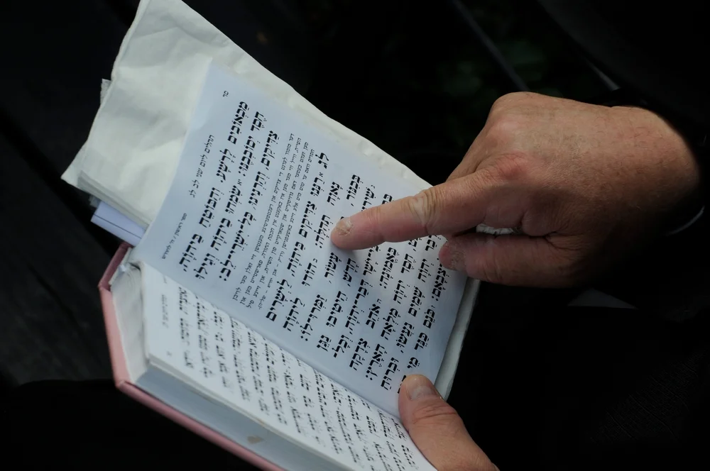 מה ההבדל בין רב לרבי? מה ההבדל בין רב לרבי?