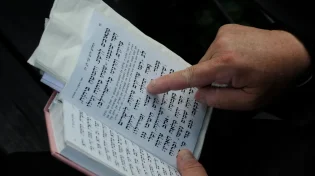 מה ההבדל בין רב לרבי?