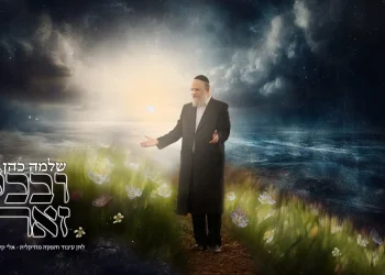 שלמה כהן - "ובכל זאת"