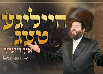 ר' משה שטעקל – הייליגע טעג אין ויזניץ