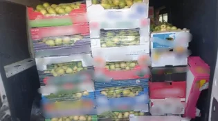 מבצע אכיפה רחב: סוכלו הברחות מזון מהרשות הפלסטינית