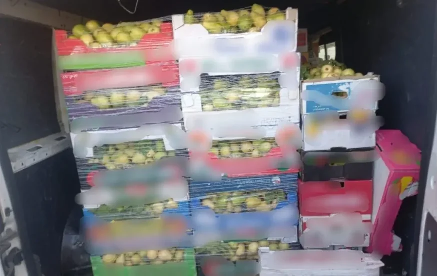 מבצע אכיפה רחב: סוכלו הברחות מזון מהרשות הפלסטינית מבצע אכיפה רחב: סוכלו הברחות מזון מהרשות הפלסטינית