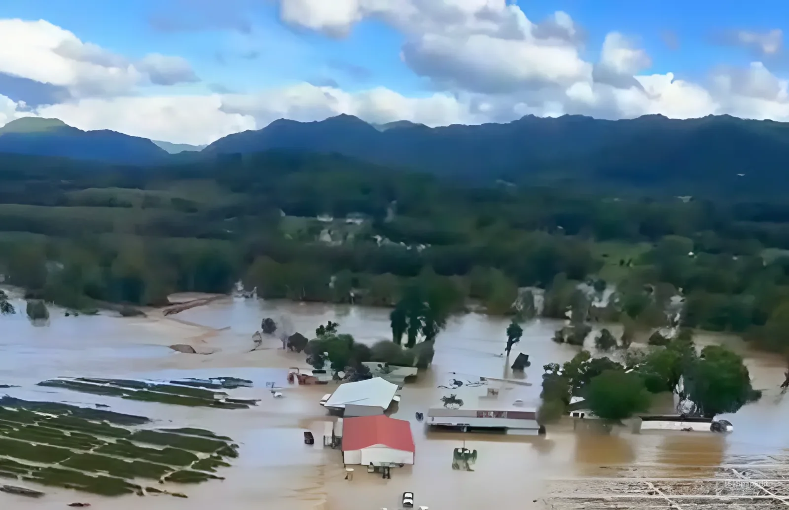תוצאות הסופה הקטלנית בארצות הברית 