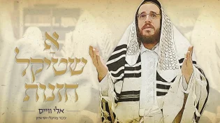 אלי ווייס מרגש לימים הנוראים: "א שטיקל חזנות"