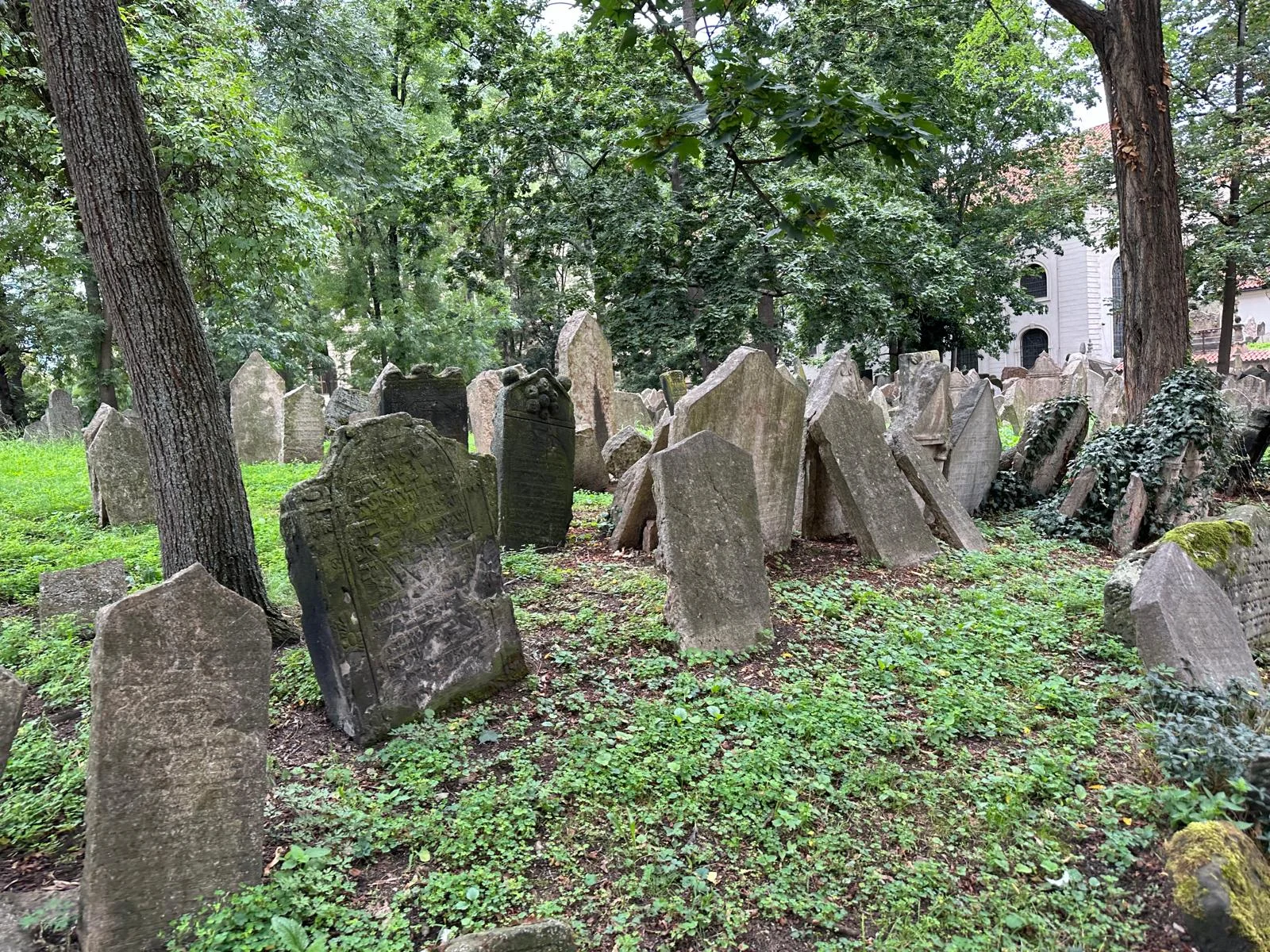 ה"כלי יקר": 6 עובדות על הצדיק 