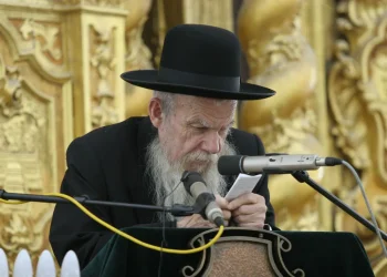 שנה להסתלקותו: 10 עובדות על הגרי"ג אדלשטיין