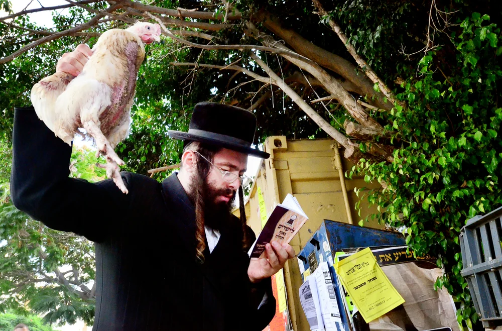 מדוע משתמשים בתרנגול לכפרות? מדוע משתמשים בתרנגול לכפרות?