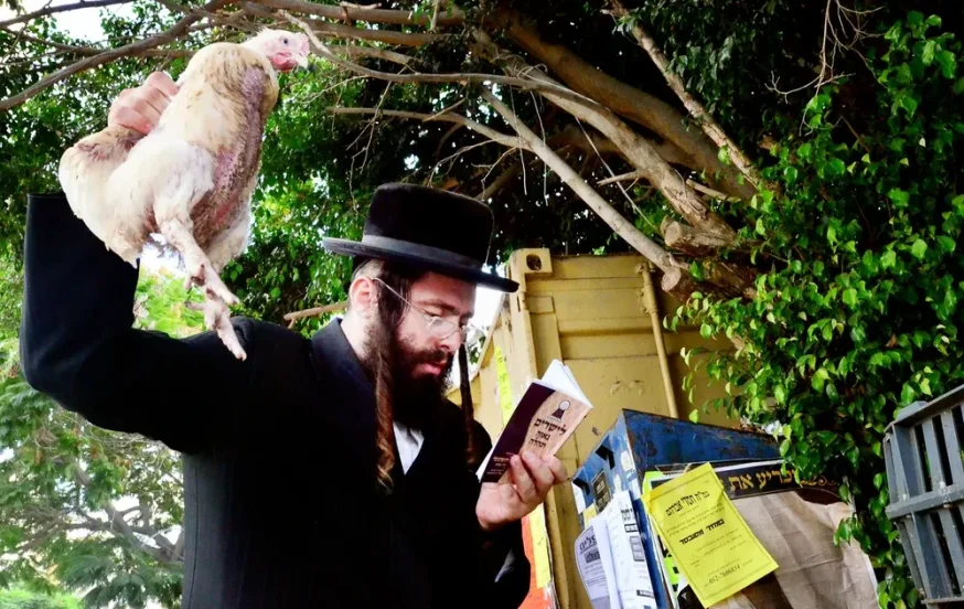 מדוע משתמשים בתרנגול לכפרות? מדוע משתמשים בתרנגול לכפרות?