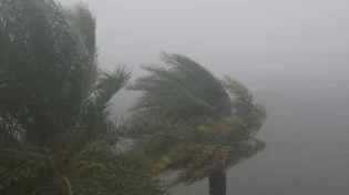ההוריקן 'מילטון' מתקרב לפלורידה: סופה היסטורית מאיימת