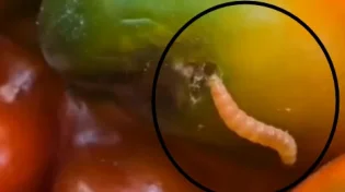 שימו לב טוב: זה מה שנמצא על דוכן הירקות