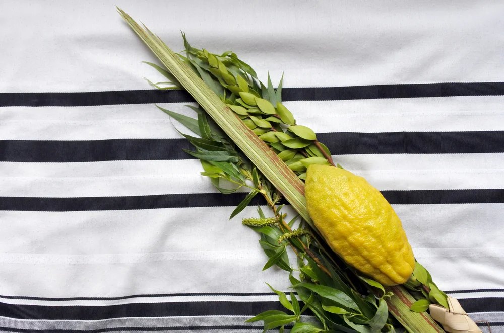 מי רשאי לברך על ארבעת המינים? הרב אברהם ישעיהו בן חמו משיב על השאלה 