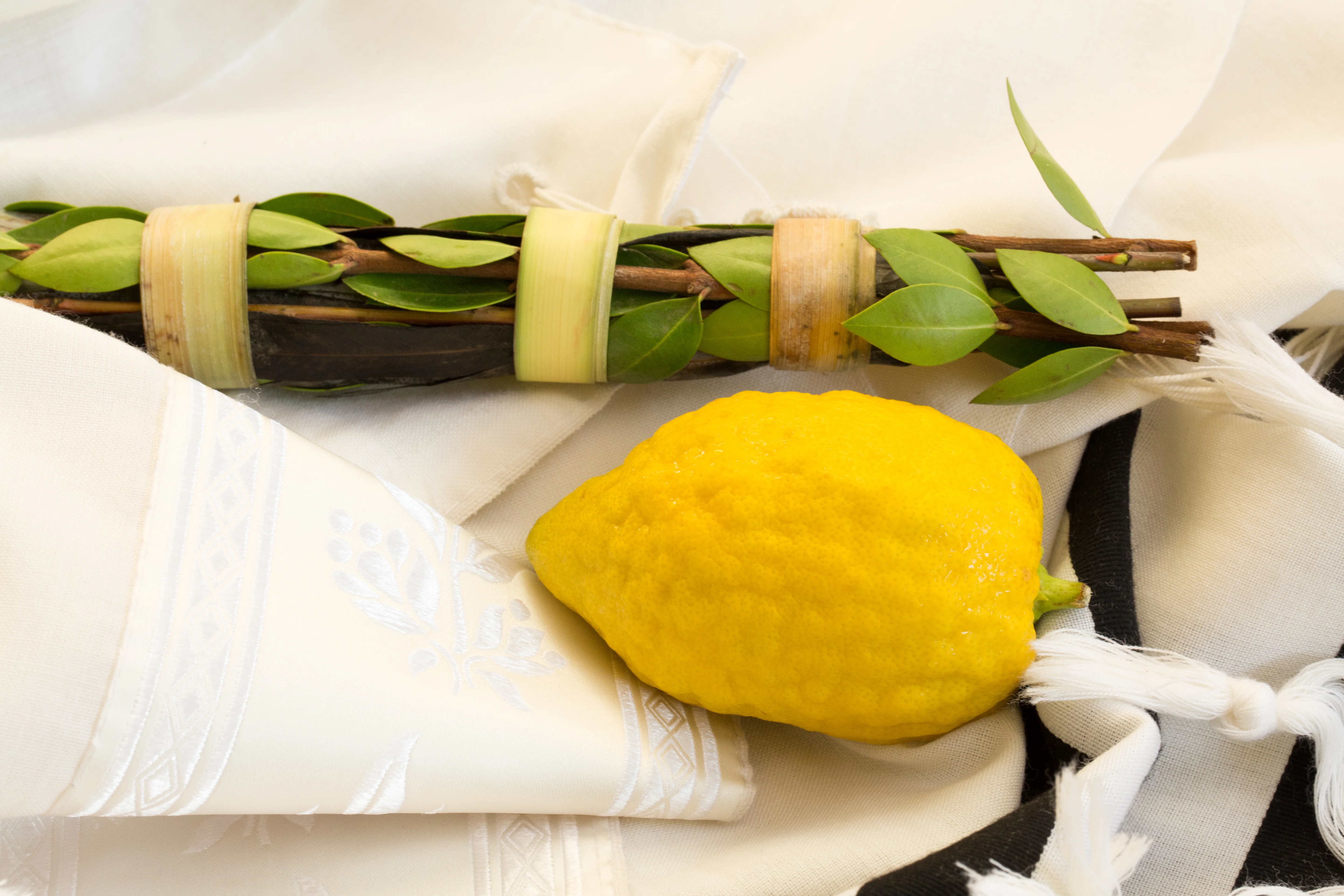 מהי משמעות החג ומה מציינים בו? הרב אברהם ישעיהו בן חמו משיב על השאלה 