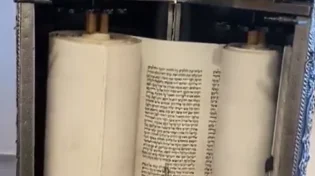 שנה לטבח: ספר תורה לזכר התצפיתניות
