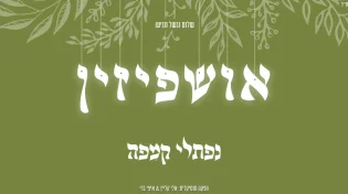 שלום וגשל מגיש: נפתלי קמפה בשיר חדש לכבוד חג הסוכות