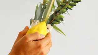 מהי משמעות השם "הושענא רבה"?