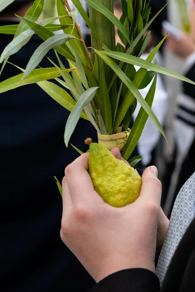 מהו המנהג להכות את הערבות ביום זה? מהו המנהג להכות את הערבות ביום זה?