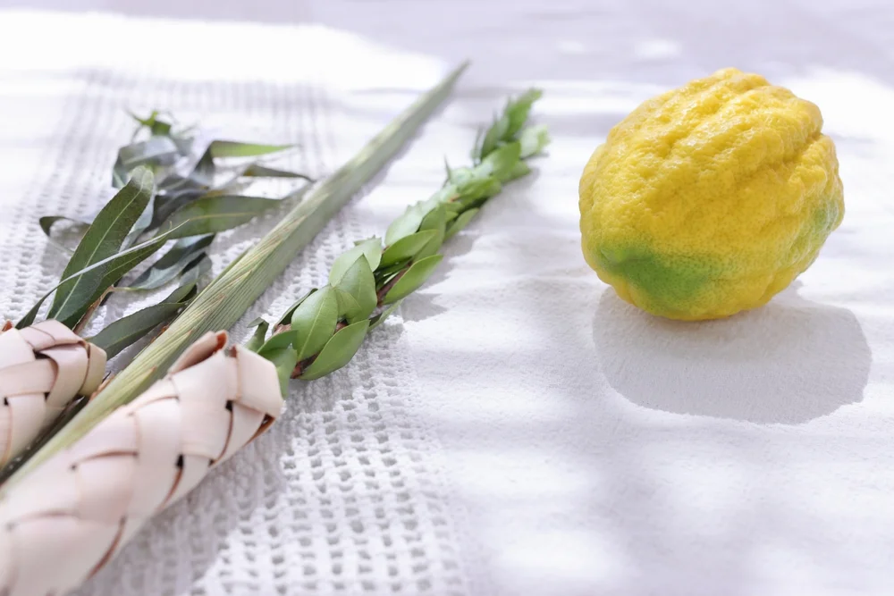 מהו הקשר בין הושענא רבה ליום הכיפורים? מהו הקשר בין הושענא רבה ליום הכיפורים?