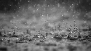 מהו הקשר בין הושענא רבה לתפילה בעבור גשמים?