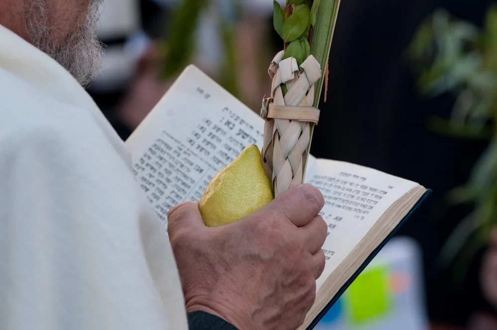 כיצד מתבצעת קריאת ההושענות ביום זה?