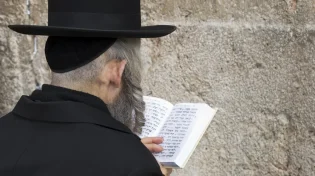 באילו ימים נוהגים להתפלל תפילת מוסף?