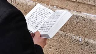 מדוע נוהגים להתפלל תפילת מוסף בשבתות וחגים?