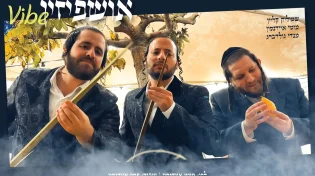 סינגל תוסס: "אושפיזין ווייב"