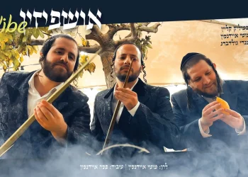 מוטי איידנסון, שמוליק קליין ומנדי גולדברג - "אושפיזין ווייב"