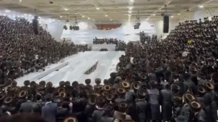צפו: הרבי זרק תפוחים לסגולה 