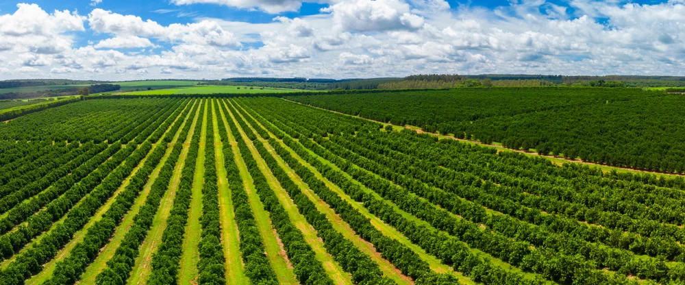 מהי מצוות יישוב הארץ, וכיצד היא משפיעה?