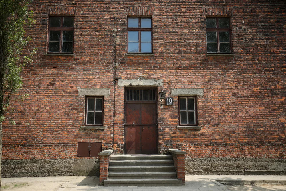 נחשף: שרידי הפושע הנאצי מנגלה הוצאו מקברו לבדיקה