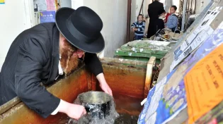 מה ההלכה של טבילת כלים?