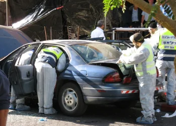 דו"ח משרד הביטחון חושף: 12 אלף פצועים מתחילת המלחמה