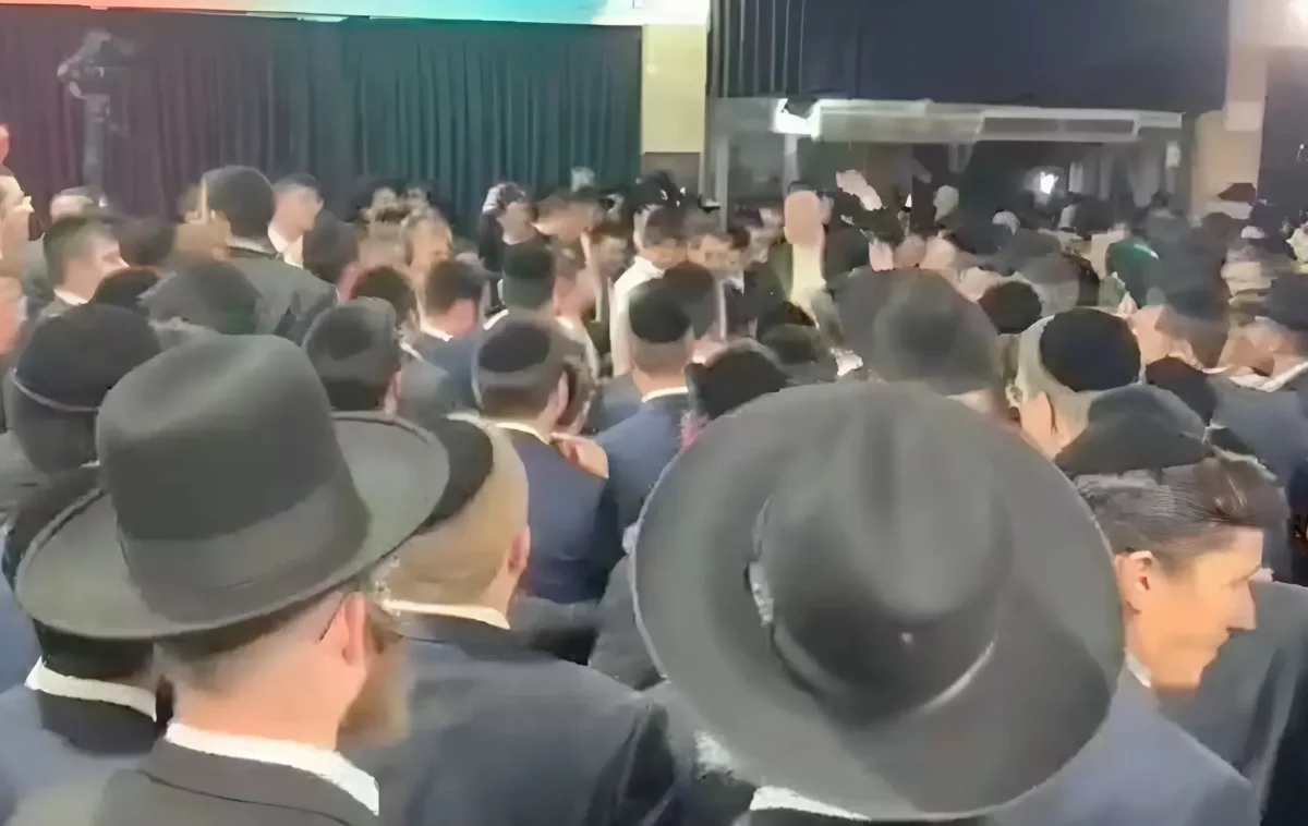 חמור בחתונה אמש באלעד