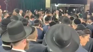 זה מה שנכנס לאולם באמצע החתונה